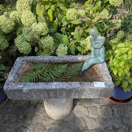 Irène * Senlis (Oise)