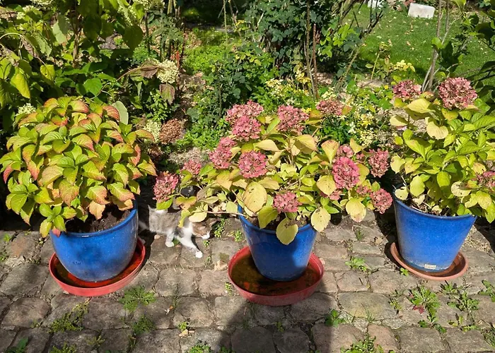 Irène Alloggio in famiglia *